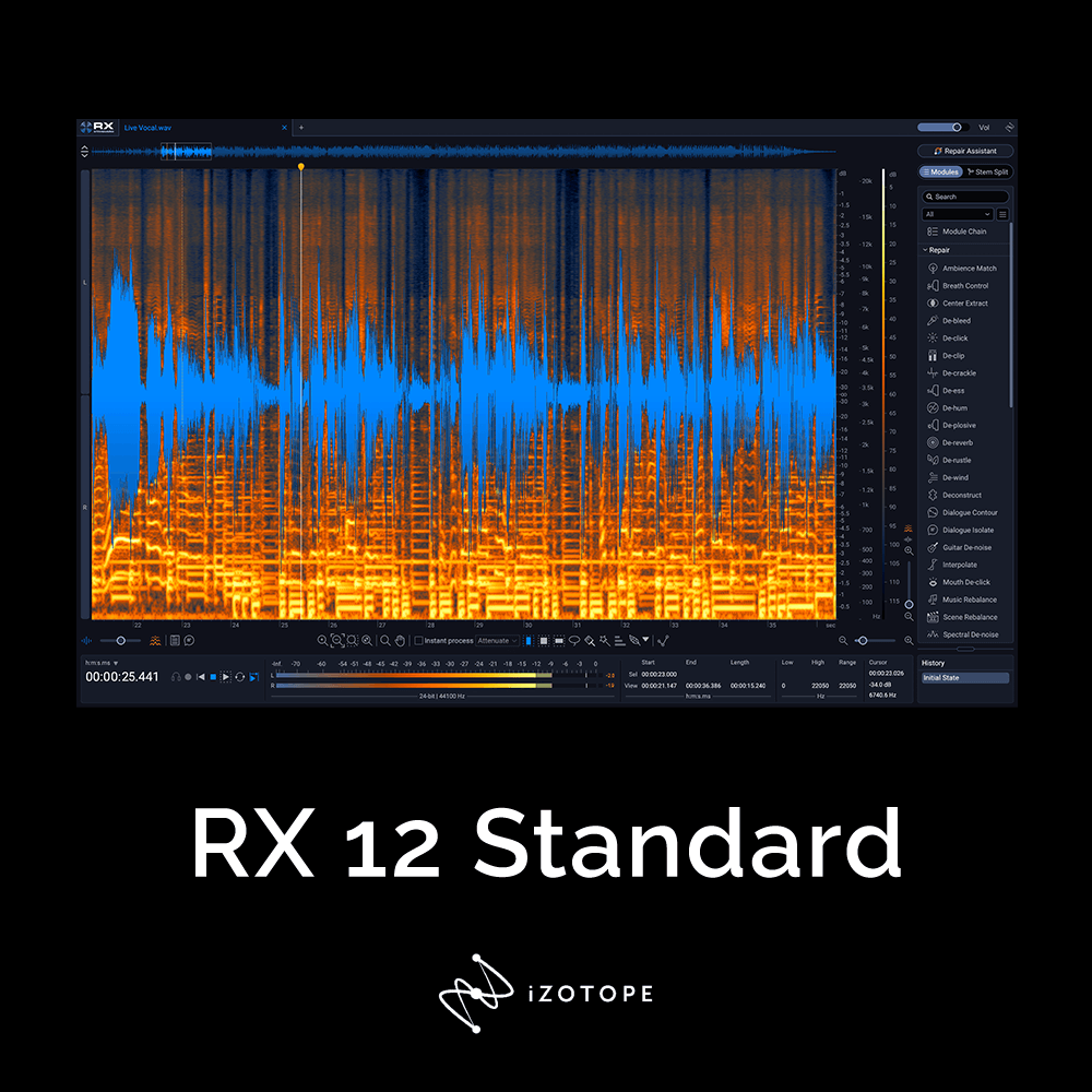 iZotope RX 12 Standard (Latest Version)